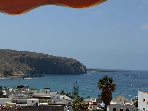 [017] Wohnung in Los Cristianos, Eucaliputus